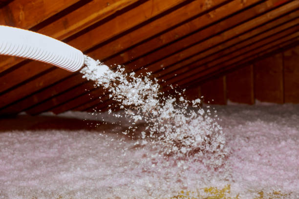 Best Specialized Insulation Services in Freeport, TX