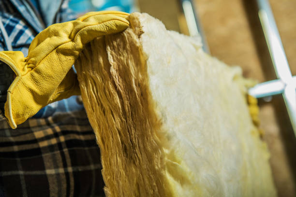 Best Geographic-Specific Insulation Services in Freeport, TX