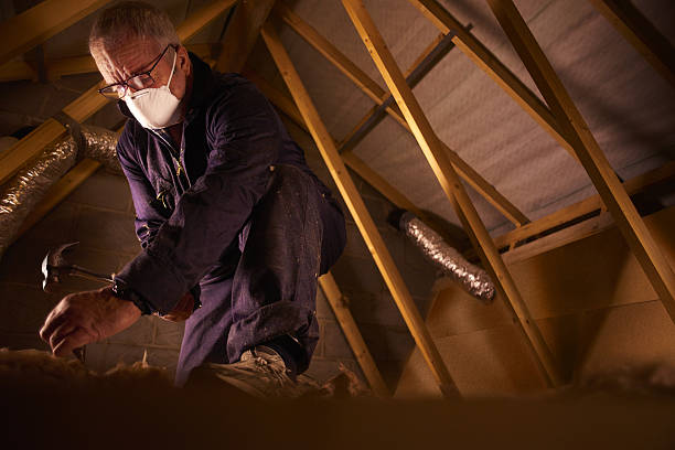 Types of Insulation We Offer in Freeport, TX